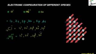 Electronic Configuration of Different Species