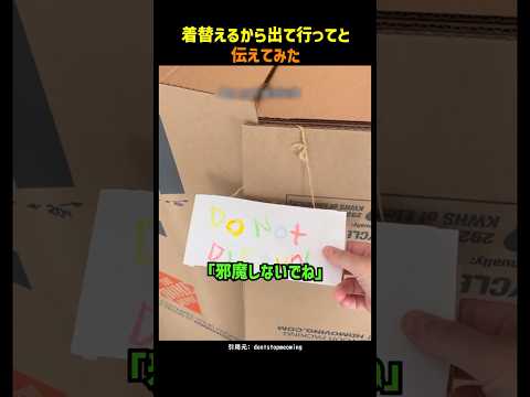 着替えるから出て行ってと伝えてみた
