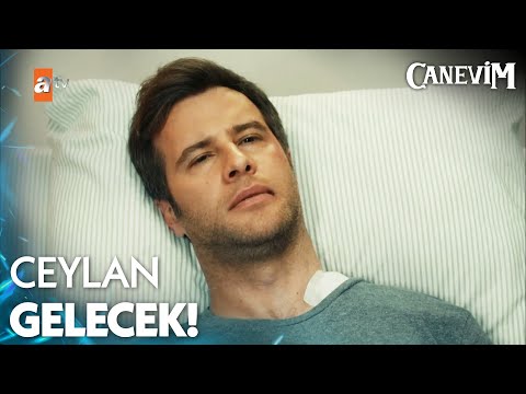 Taylan, Ceylan olmadan yapamıyor - Canevim 3. Bölüm