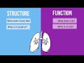Understanding Structure and Function in Science