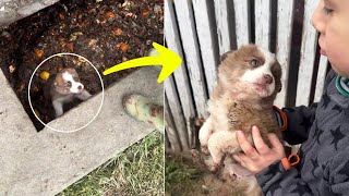 Hopeless Puppy Crying in Drain Looks at Boy and Breaks Down in Tears After Rescue