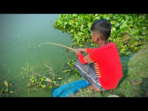 Best Fishing Video ~ Traditional Hook Fishing in Village Smart By Fishing With Hook