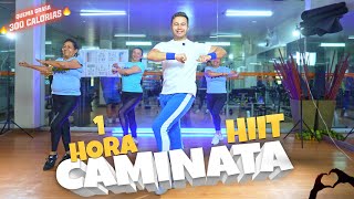 Lista para moverte? Prueba esta CAMINATA Fácil y Poderosa de 1 HORA