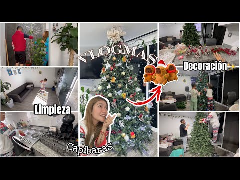 PONIENDO ÁRBOL DE NAVIDAD Nueva Decoración🎄🦫Limpieza+Vlogmas ✨Ammy Alvarado