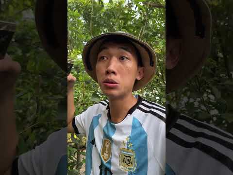kind and brave puppy KO39  #trending #viralvideo #dog #shortsvideo #cartoon
