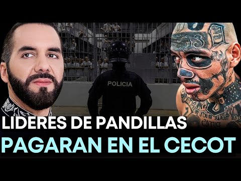 El SALVADOR HOY 11 de Enero 2025, Noticias de El Salvador11 de Enero 2025, EL SALVADOR