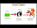 Ecosystem Roles and Food Chains