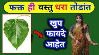 Peepal Tree Benefits: शरीरातील अनेक समस्यांवर गुणकारी आहे पिंपळाचं झाड