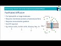 Facilitated Diffusion and Potassium Channels