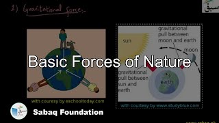 Basic forces of nature