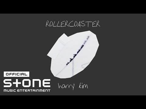 harry kim (해리킴) - ROLLERCOASTER Lyric Video