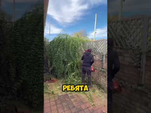Так выглядит идеальный участок🤩🤗💪
