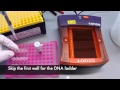 Gel Electrophoresis Procedures