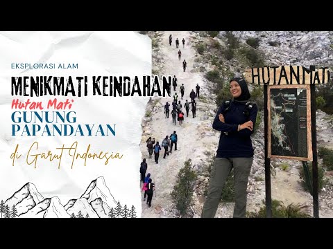 EKSPLORASI ALAM MENIKMATI KEINDAHAN HUTAN MATI GUNUNG PAPANDAYAN ‼️ #vlog #papandayan #garut