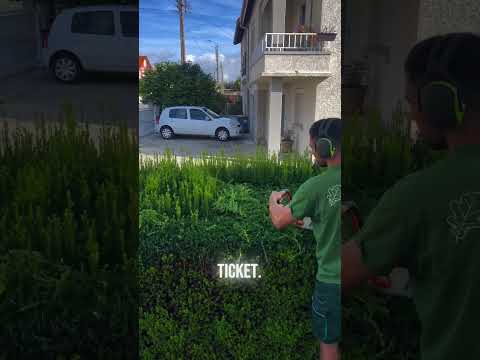 Satisfying Gardening Work🌳#garden #gardening #satisfying #cleaning #grass #lawn #viral #fyp #199