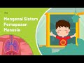 Human Respiratory System Concepts