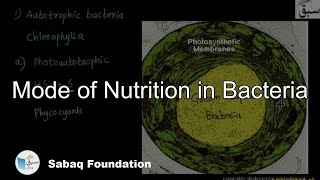 Mode of  Nutrition in  Bacteria
