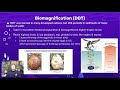 Biomagnification and Mercury Exposure