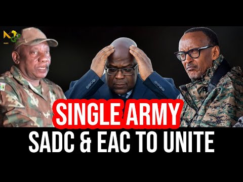 European Mercenaries under PANIC in DRC, Kagame and Ramaphosa to unite EAC and SADC with single army