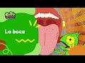 Camaleón y las Ciencias Naturales