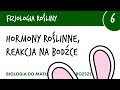 Hormony roślinne i ich działanie