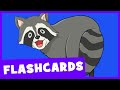 Forest Animal Sequence Identification