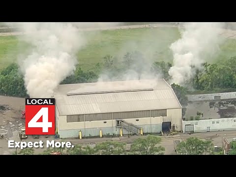 Local 4 News at Noon -- June 25, 2025