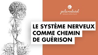 Le système nerveux comme chemin de guérison