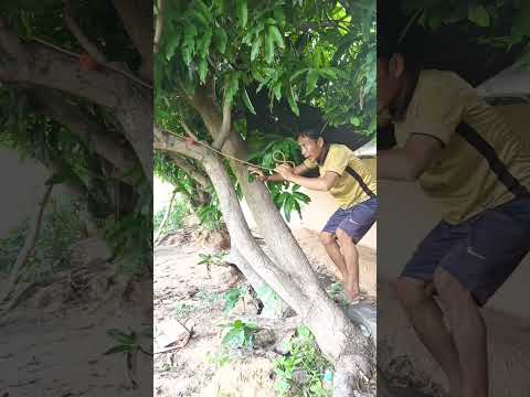 อยากได้ผัวใหม่ #funny #cat #funnyvideo #ตลก #comedy #cute #ตลกฮาๆ #เทรนด์วันนี้ #ผัวเมียสายฮา