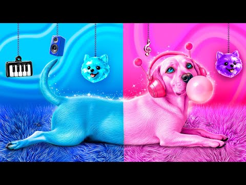Salvei um Cachorro de Rua! Construímos uma Sala Secreta para Pets! Azul vs Rosa