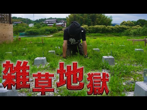 【庭改造】たった1週間で雑草ボーボー…梅雨時期は毎日が地獄です【626日目】