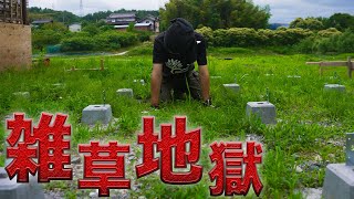 【庭改造】たった1週間で雑草ボーボー…梅雨時期は毎日が地獄です【626日目】
