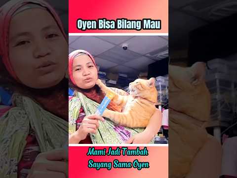 Bilang MAU dulu donk #shorts #kucing #kucinglucu