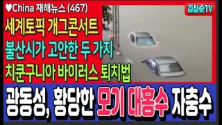 세계토픽 차이나 개그콘서트, 광동성 불산시의 모기 대홍수 자충수 #China재해뉴스(467) #김상순TV(2479)