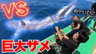 【危険】100kg越えのモンスター級人喰いザメを釣り上げれるか！？