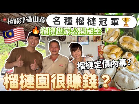 【98🇲🇾】檳城浮羅山背必去榴槤園！最純樸原始！很賺錢嗎？榴槤世家第三代接班人首次公開榴槤內幕！怎樣定價？名種榴槤冠軍🏆#馬來西亞 #榴槤園 #榴槤 #貓山王 #大馬 #大馬美食