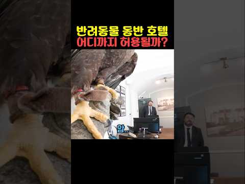 반려동물 동반 호텔 어디까지 허용될까