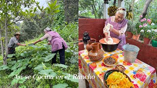 Vámos a la Milpa Les Voy Hacer un Verdadero Almuerzo de Rancho con Flor de Calabaza y Atole De Leche