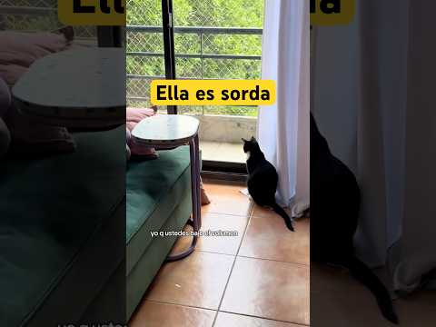 14 de noviembre de 2025