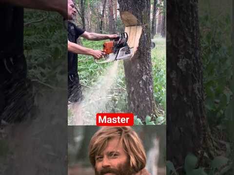 Prof.Doc.Stihl  #professor #professional #master #omg #amazing #facts  #stihl Motorka