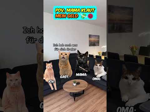 PoV: Mama klaut MEIN GELD 😡💸  #katzenvideos  #mama  #relatable