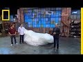 Bubble Wrap Experiment Insights