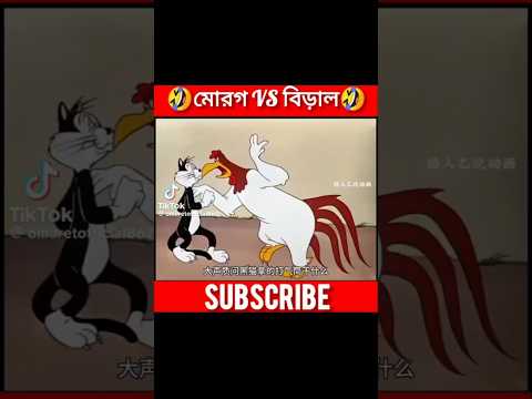 মোরগ vs বিড়াল funny video | [ part 1 ] #funny #shorts