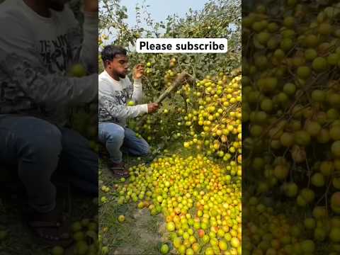 হজের ভিডিও শেয়ার করো 🤲✅ #shorts #subscribe #allah #muhammad