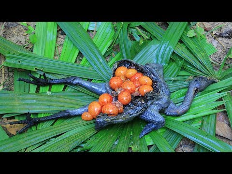 Amazing Black Chicken Recipe - Cooking Black Chicken Soup Recipe In Forest For Dinner