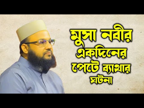 মুসা নবীর পেটে ব্যথার ঘটনা | সালাউদ্দিন চাঁদপুরী | Bangla Waz