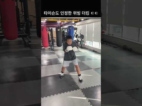 타이슨도 인정한 위빙 더킹 레전드ㅋㅋ