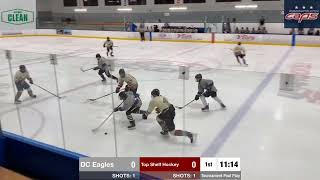 6/12/26 - DC Eagles vs. Top Shelf Hockey