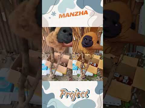 Kenapa masih nangis..?? - Batviss Boy