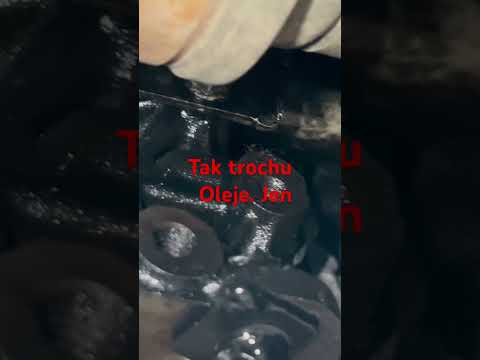 Fušeři podvodnici?!. Jak zkasírovat tisíce za přetěsněni motoru. Co vy na to ?